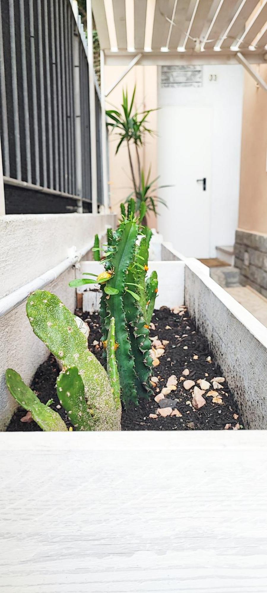 Appartamento Residenza Bibliososta Ventimiglia Esterno foto